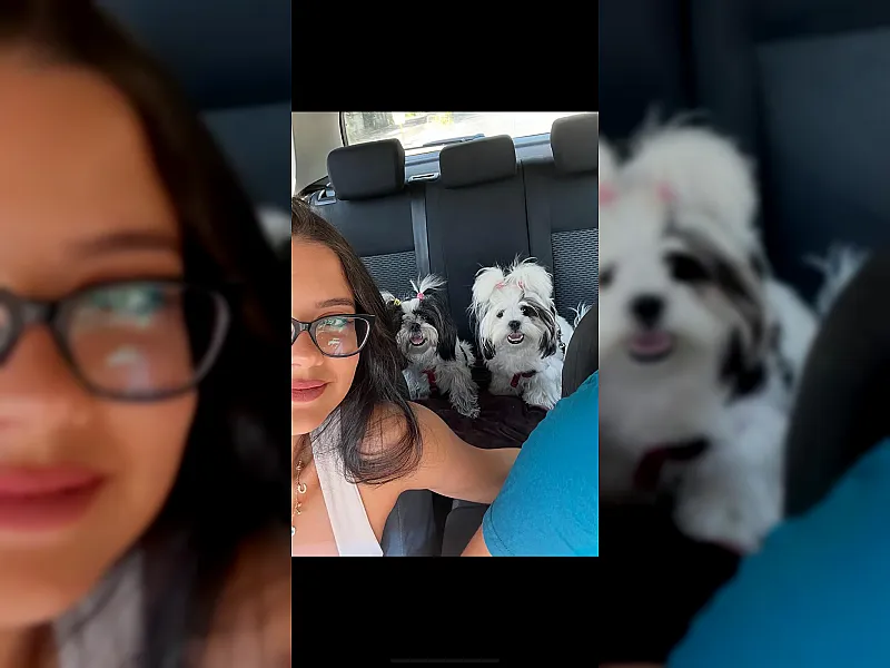 Imaginea Serviciului